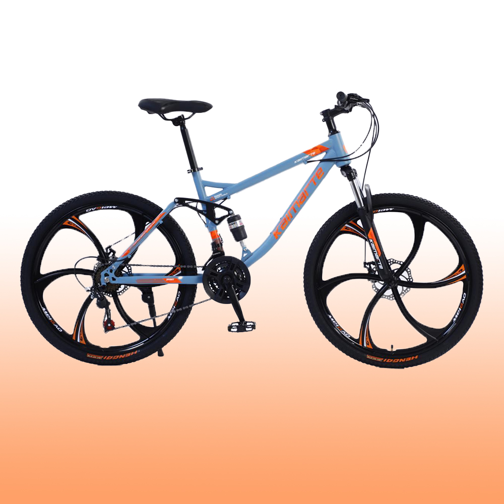 OEM Maßgefertigtes 26 27,5 29  – Mountain Biking Europe Bewertung und Preis